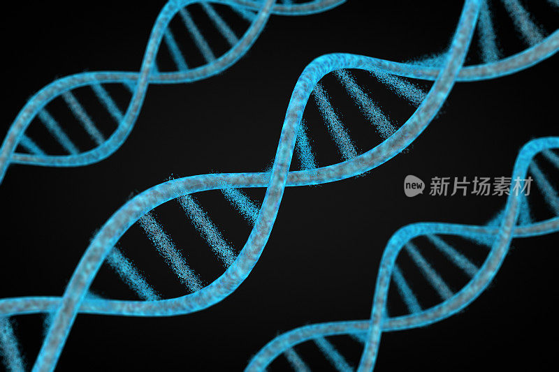 分子，DNA 螺旋